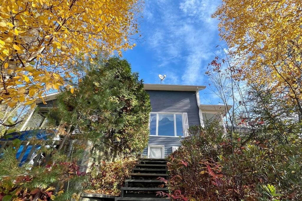 Le Chalet Bleu, Aux Pieds Des Monts-Valin Saint-David-de-Falardeau Exteriér fotografie